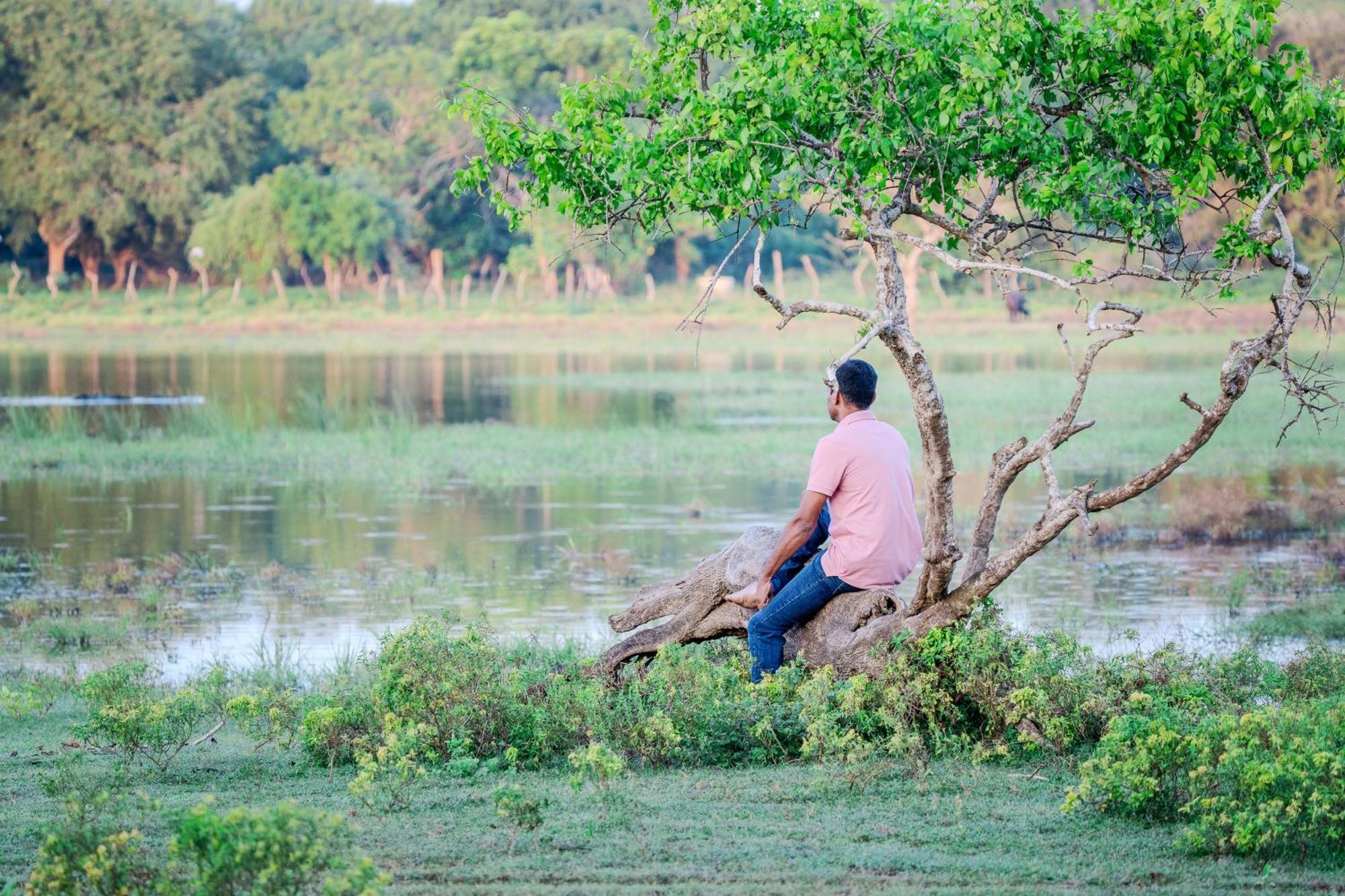 Nest Yala लॉज Kirinda (Hambantota)